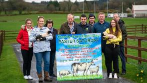 Successful Mayo farm open day is back this Easter