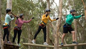 New Mayo outdoor park on Westport Estate opens in May