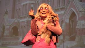 Castlebar Musical & Dramatic Society deliver sparkling performance of Legally Blonde