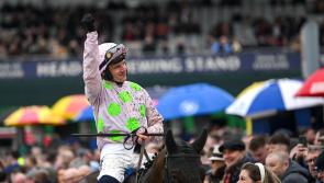 CHELTENHAM: Will the Willie Mullins domination continue on Day Two?