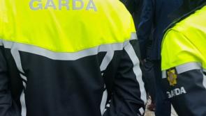 Driver of articulated lorry killed in horror crash in Wexford 
