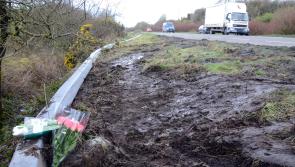Mother and daughters killed in N17 crash named 