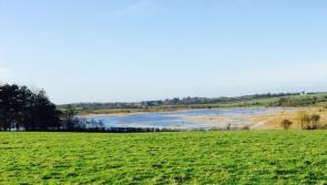 Calleary welcomes pause on all non-essential agricultural inspections
