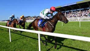 Ballinrobe Racecourse gears up for 2024 season
