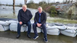 Former RTÉ news correspondent confirms run in European elections 