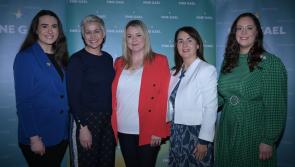 Fine Gael calls for regulation of social media at local election campaign launch