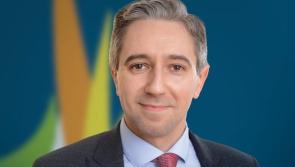 LIVE: Watch the election of Simon Harris as Ireland's youngest Taoiseach