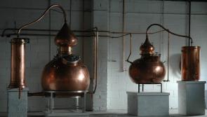 Mayo distillery to host free open day