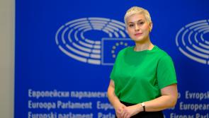Sinn Féin’s rhetoric on migration akin to language used during Brexit vote - MEP Walsh