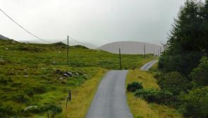 Finn decries ‘total depletion of the countryside’