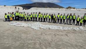 Mayo school pupils send shark message to Achill visitors on Earth Day