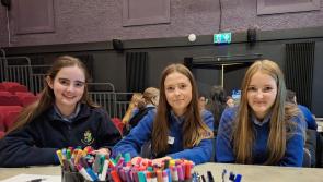 Mayo arts centre sow seeds in celebration of writing for local students