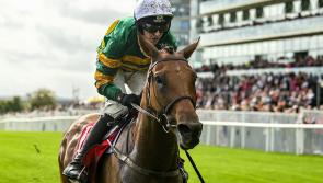 Punchestown tips: 20/1 Day 1 treble could line your pockets for the week