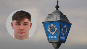 ALERT: Gardai seek help in locating teenager missing from his home in Limerick