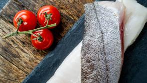 FOOD: Make your fish fillets sing