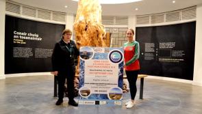 Famous run launches in conjunction with Mayo Day