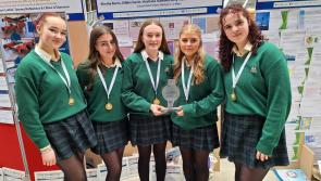 Mayo students win senior young economists of the year
