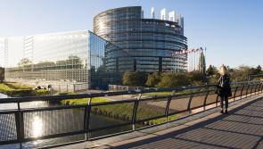European Election explainer: What we vote for and how to vote