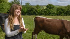 Mayo farmer to be part of expert panel for European Election live event