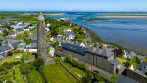 Mayo Green Party back Killala data centre opposed by Sally Rooney