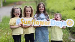 Mayo Roscommon Hospice Foundation call for Sunflower Day support