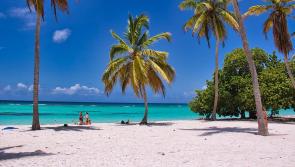 Irish holidaymakers put on alert for 'unbelievable' deals amid wave of scams