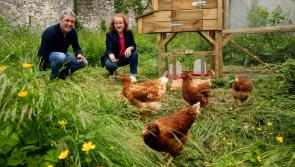 Mary Robinson Climate Conference returns to Mayo
