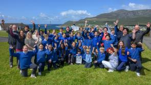 Mayo school wins national award for Basking Shark project