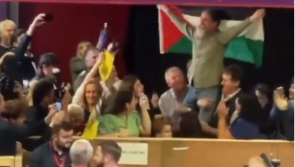 'MEP for Gaza?' - Luke Flanagan slammed for raising Palestine flag instead of tricolour 