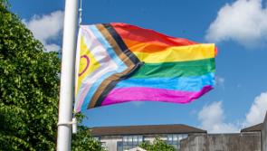 Defence Forces in uniform not welcome at Limerick Pride after assault case 