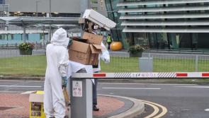 Unusual scenes at Dublin Airport as 5,000 unwanted visitors are removed 