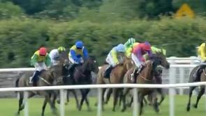 WATCH: Cruel irony as horse called Mayo for Sam loses at the line in Ballinrobe