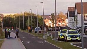 Dog destroyed after mother and child witness gruesome attack in Limerick