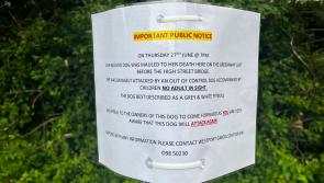 Mayo Gardaí seeks witnesses to savage fatal dog attack on Greenway