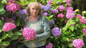 Westport memorial service to be held for ‘faithful and kind’ Ukrainian woman