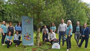 Westport Credit Union gives €100,000 to local community projects