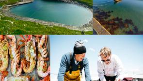 Inishturk's new month-long food festival celebrates island life 
