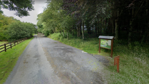 Progress welcomed for Mayo woodlands enhancement scheme