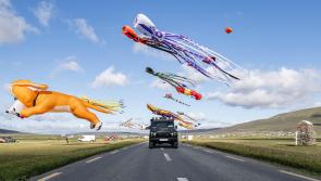Sun, wind and giant kites at Mayo International Kite Festival