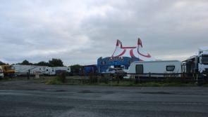 Castlebar councillors call for circus to be moved into military barracks