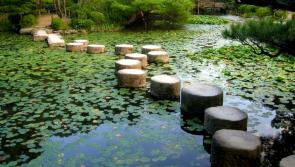 MENTAL HEALTH:  Failures are stepping stones to success