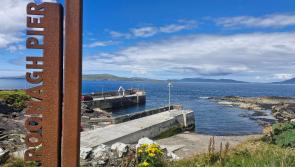 Mayo charity swim cancelled due to safety concern