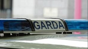 Man arrested on extradition warrant in east of Ireland 