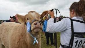 Heavy rain forces cancellation of Swinford Agricultural Show 