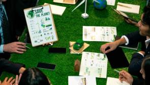 New campaign helps Mayo businesses go green 