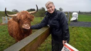 EU Agriculture Committee backs Maria Walsh’s calls for more mental health funding 