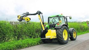 BirdWatch Ireland welcomes hedge-cutting ban despite Mayo calls for extension