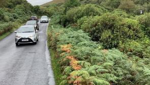 Mayo community organise petition for better access to beach