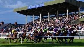 Tips and advice ahead of the last meeting of the year at Ballinrobe Races