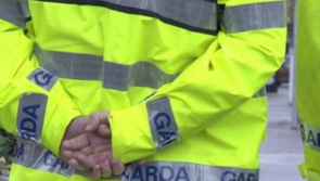 Gardaí seize over €200k of cannabis in major operation  